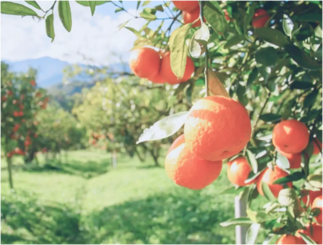 Small, pixelated image Small, pixelated image