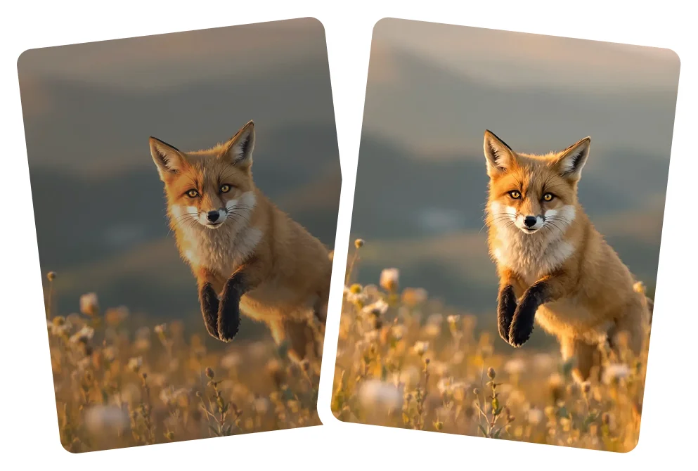 Citrus fixes chroma noise in shadow regions.