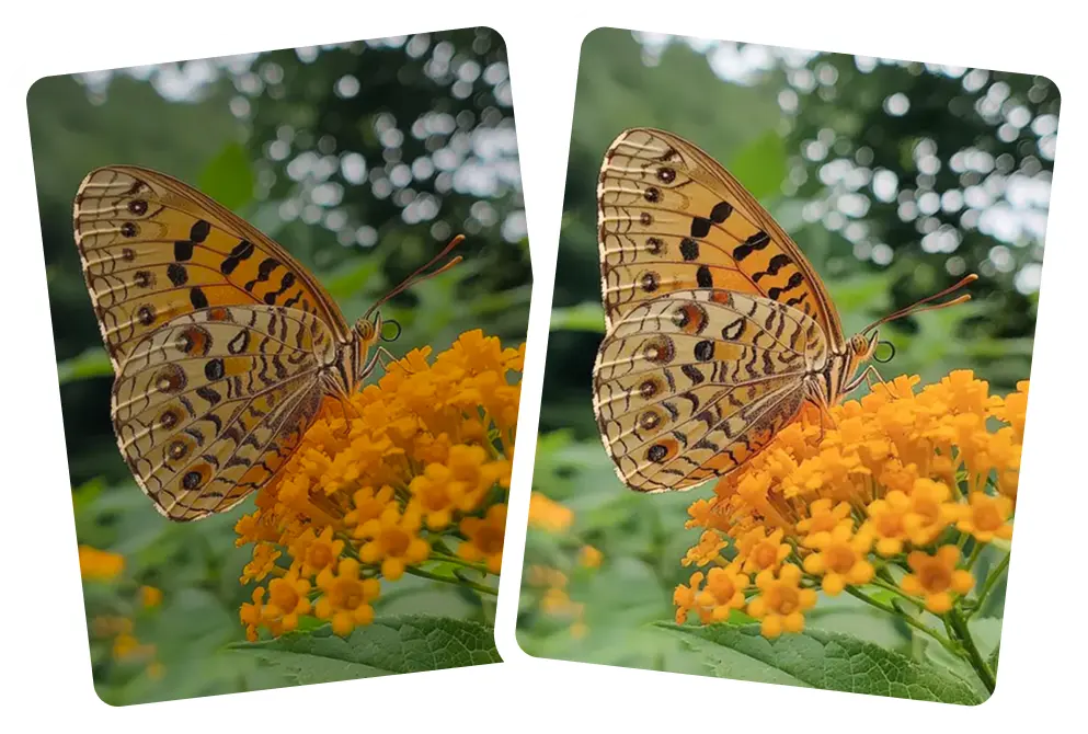 Rebuilds fine detail in textures, faces, and objects AI sharpness enhancement rebuilds fine detail.