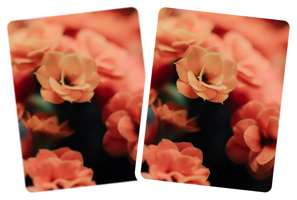 Unblur soft focus with AI - Citrus rebuilds edge definition.