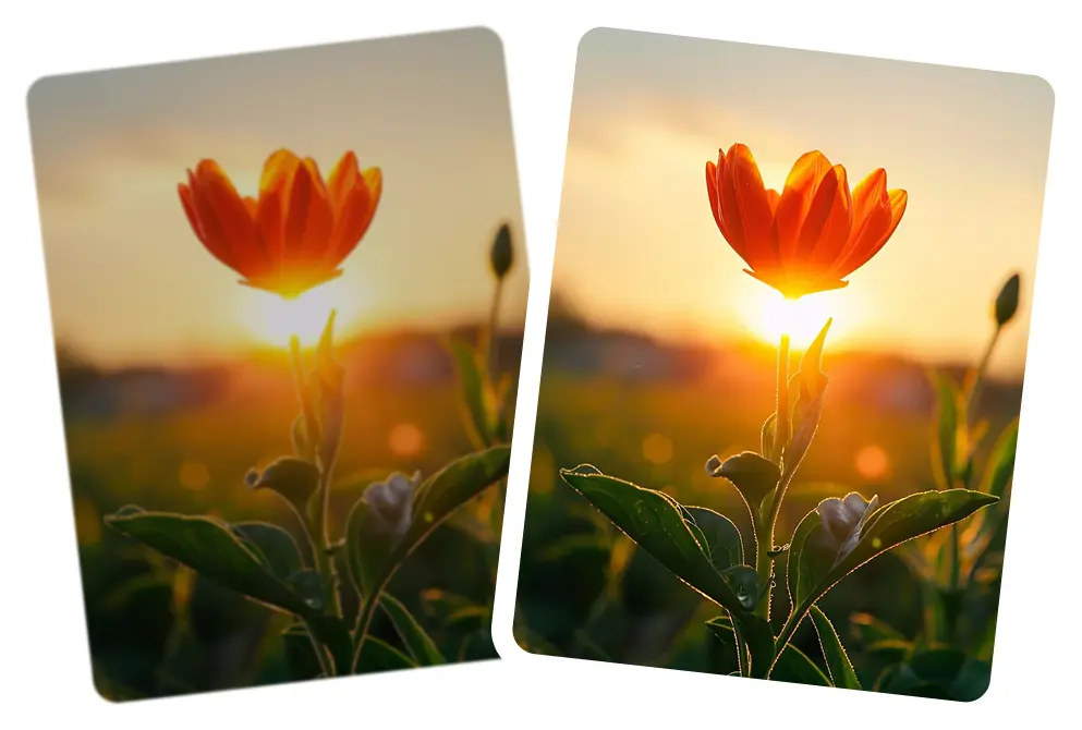 Reconstructs missing detail instead of simple enlargement AI upscaling reconstructs missing detail for clarity.