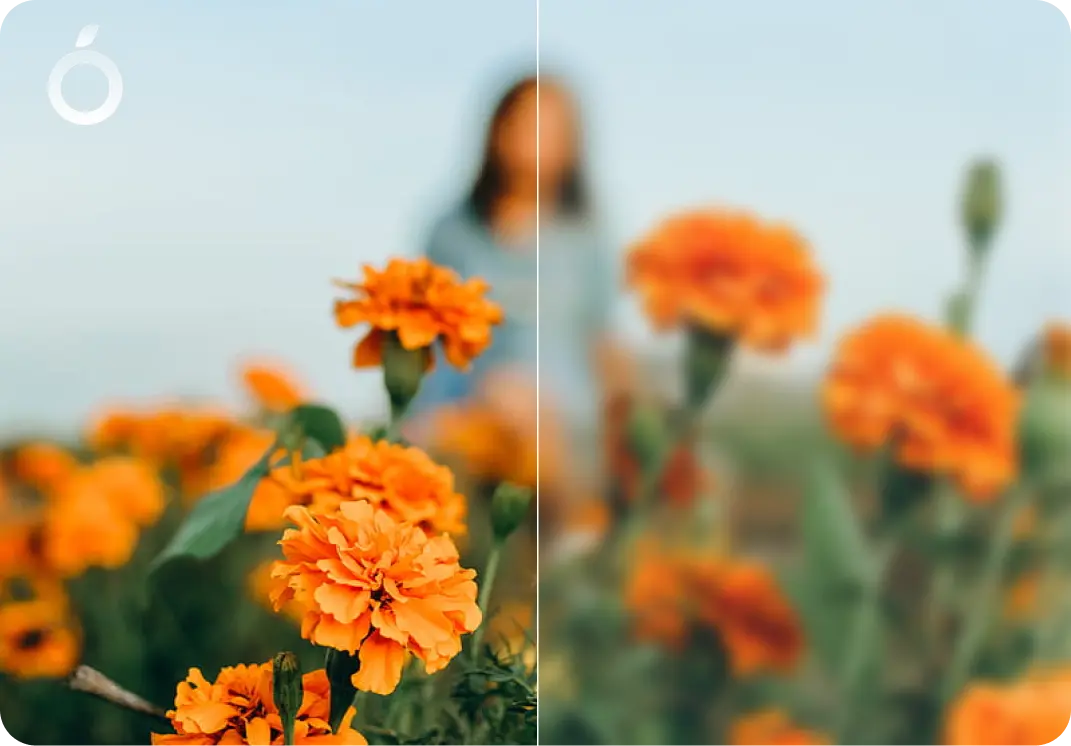 Natural, realistic enhancement example Natural, realistic enhancement example