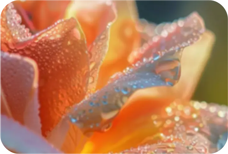 Step number Step t8aowwgccxk